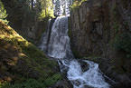 Trout Lake Creek 8-11-12
