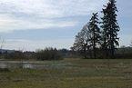 Tualatin River Wildlife Refuge 4-8-2012